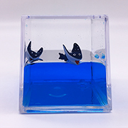 Paperweight Cube with Stingray Floaters